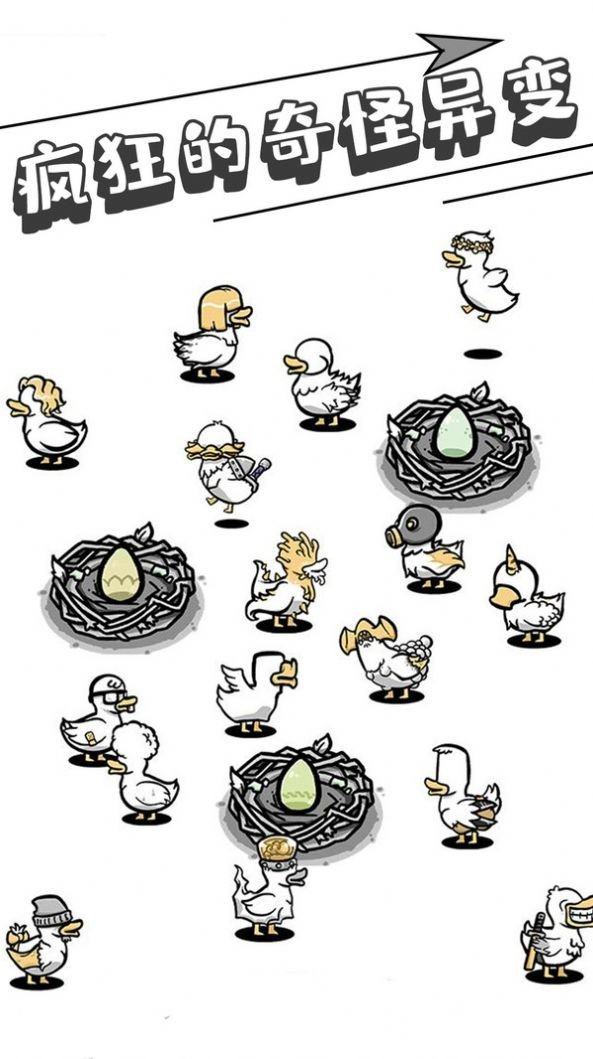 母鸡下蛋图3