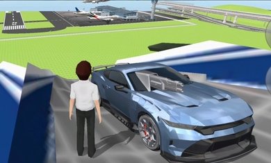 3D驾驶课2内置修改器版图1