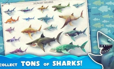 饥饿鲨世界全鲨鱼版内置功能菜单图4